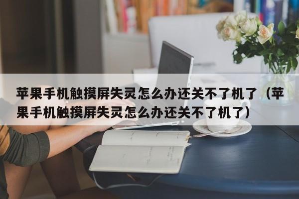 苹果手机触摸屏失灵怎么办还关不了机了（苹果手机触摸屏失灵怎么办还关不了机了）-第1张图片-晋江速捷自动化科技有限公司