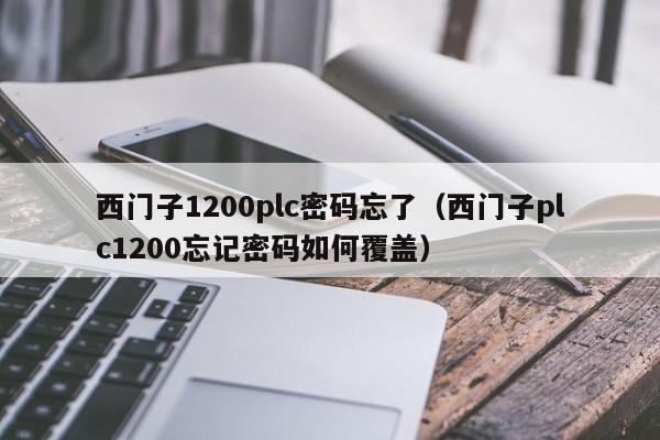 西门子1200plc密码忘了（西门子plc1200忘记密码如何覆盖）-第1张图片-晋江速捷自动化科技有限公司