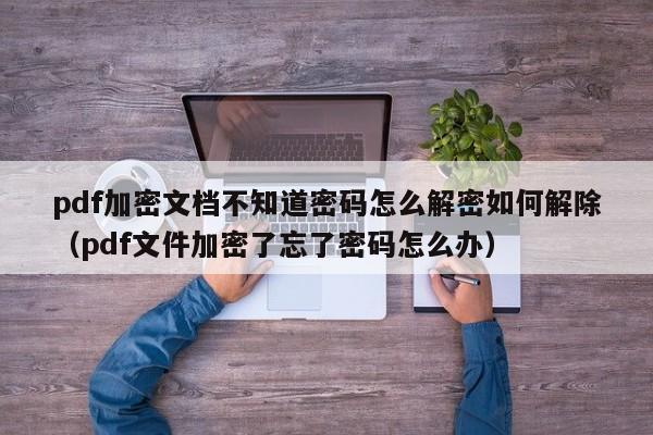pdf加密文档不知道密码怎么解密如何解除（pdf文件加密了忘了密码怎么办）-第1张图片-晋江速捷自动化科技有限公司