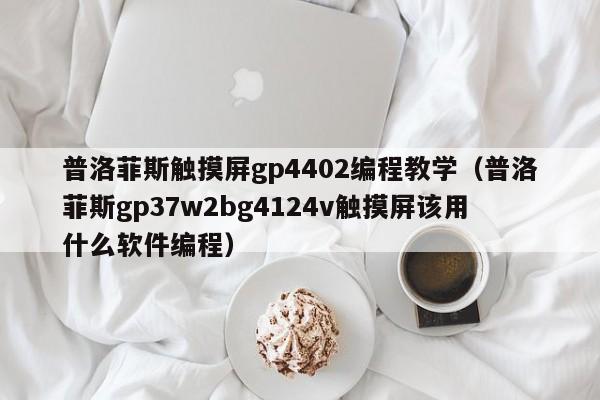普洛菲斯触摸屏gp4402编程教学（普洛菲斯gp37w2bg4124v触摸屏该用什么软件编程）-第1张图片-晋江速捷自动化科技有限公司
