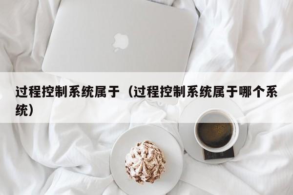 过程控制系统属于（过程控制系统属于哪个系统）-第1张图片-晋江速捷自动化科技有限公司