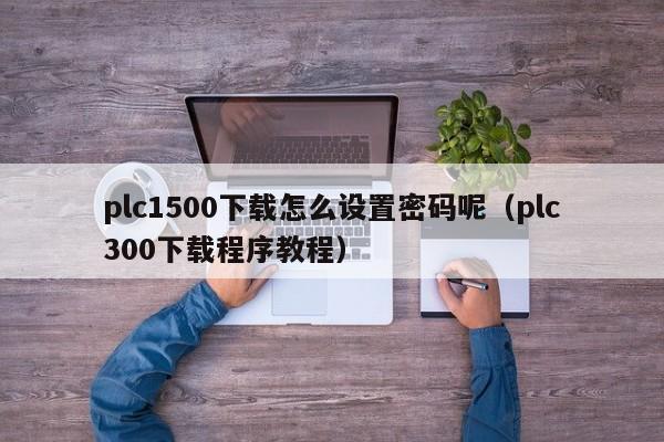 plc1500下载怎么设置密码呢（plc300下载程序教程）-第1张图片-晋江速捷自动化科技有限公司