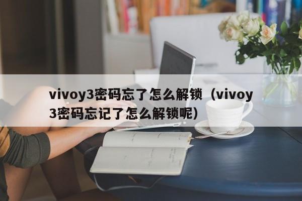 vivoy3密码忘了怎么解锁（vivoy3密码忘记了怎么解锁呢）-第1张图片-晋江速捷自动化科技有限公司