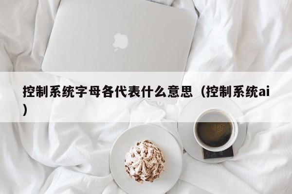 控制系统字母各代表什么意思（控制系统ai）-第1张图片-晋江速捷自动化科技有限公司