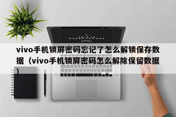 vivo手机锁屏密码忘记了怎么解锁保存数据（vivo手机锁屏密码怎么解除保留数据）-第1张图片-晋江速捷自动化科技有限公司