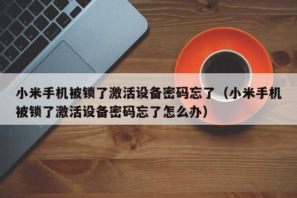小米手机被锁了激活设备密码忘了（小米手机被锁了激活设备密码忘了怎么办）-第1张图片-晋江速捷自动化科技有限公司