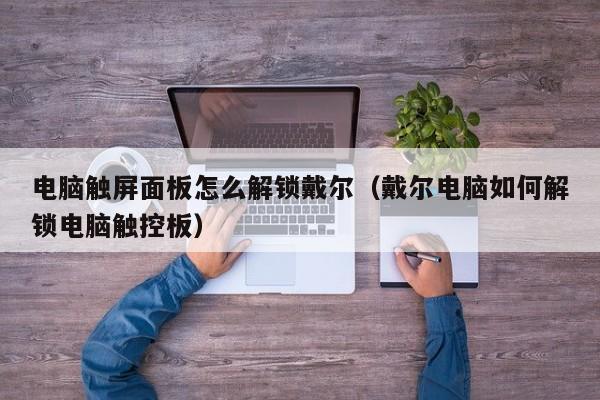 电脑触屏面板怎么解锁戴尔（戴尔电脑如何解锁电脑触控板）-第1张图片-晋江速捷自动化科技有限公司