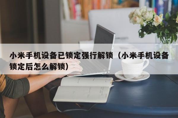 小米手机设备已锁定强行解锁（小米手机设备锁定后怎么解锁）-第1张图片-晋江速捷自动化科技有限公司