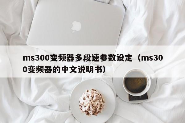 ms300变频器多段速参数设定（ms300变频器的中文说明书）-第1张图片-晋江速捷自动化科技有限公司