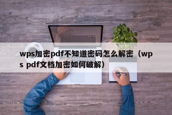 wps加密pdf不知道密码怎么解密（wps pdf文档加密如何破解）-第1张图片-晋江速捷自动化科技有限公司