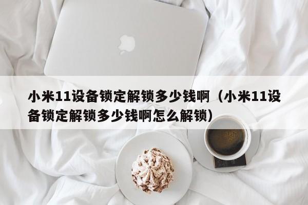 小米11设备锁定解锁多少钱啊（小米11设备锁定解锁多少钱啊怎么解锁）-第1张图片-晋江速捷自动化科技有限公司