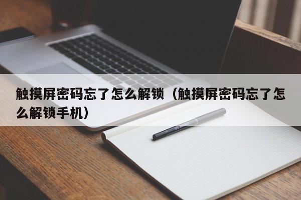触摸屏密码忘了怎么解锁（触摸屏密码忘了怎么解锁手机）-第1张图片-晋江速捷自动化科技有限公司