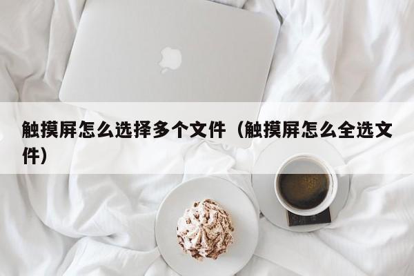 触摸屏怎么选择多个文件（触摸屏怎么全选文件）-第1张图片-晋江速捷自动化科技有限公司