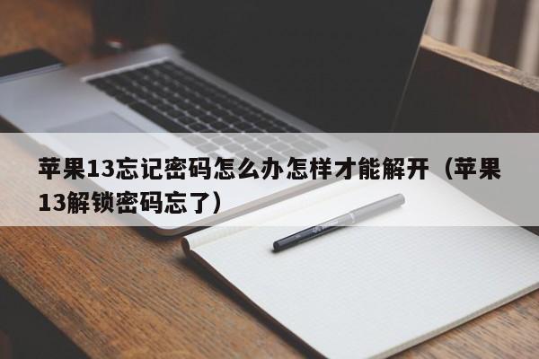 苹果13忘记密码怎么办怎样才能解开（苹果13解锁密码忘了）-第1张图片-晋江速捷自动化科技有限公司