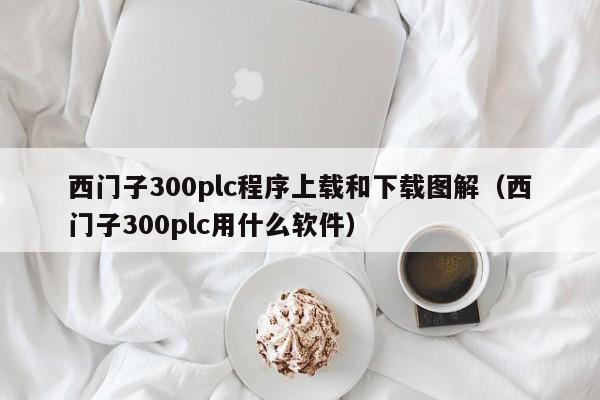 西门子300plc程序上载和下载图解（西门子300plc用什么软件）-第1张图片-晋江速捷自动化科技有限公司