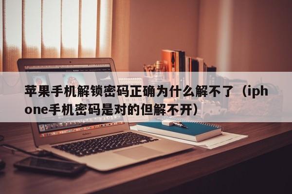 苹果手机解锁密码正确为什么解不了（iphone手机密码是对的但解不开）-第1张图片-晋江速捷自动化科技有限公司