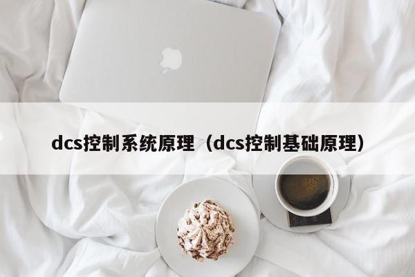 dcs控制系统原理（dcs控制基础原理）-第1张图片-晋江速捷自动化科技有限公司