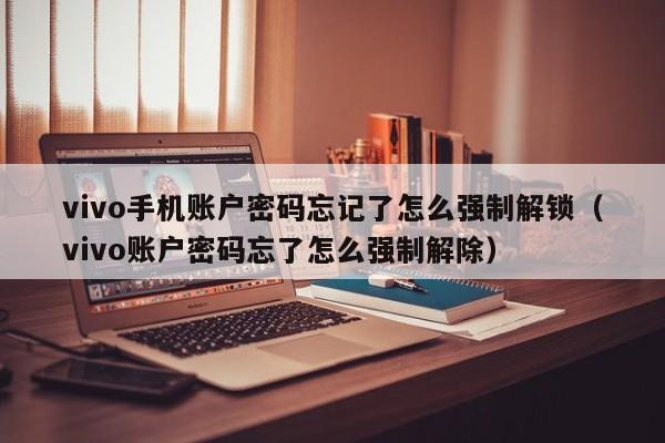 vivo手机账户密码忘记了怎么强制解锁（vivo账户密码忘了怎么强制解除）-第1张图片-晋江速捷自动化科技有限公司