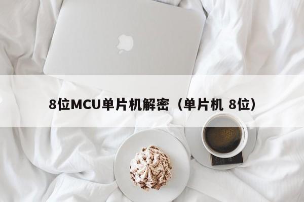 8位MCU单片机解密（单片机 8位）-第1张图片-晋江速捷自动化科技有限公司