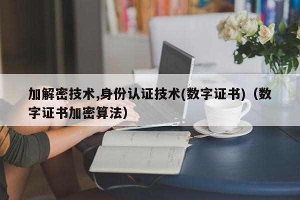 加解密技术,身份认证技术(数字证书)（数字证书加密算法）-第1张图片-晋江速捷自动化科技有限公司