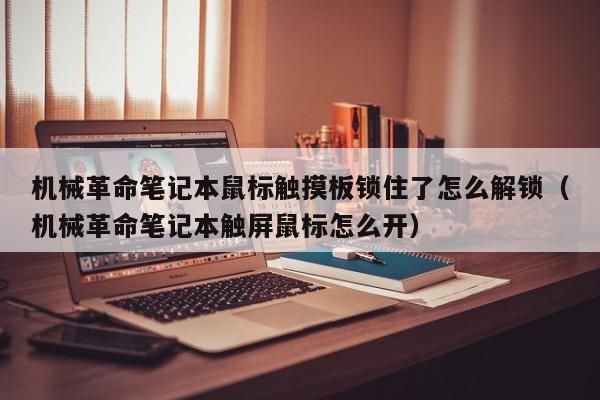 机械革命笔记本鼠标触摸板锁住了怎么解锁（机械革命笔记本触屏鼠标怎么开）-第1张图片-晋江速捷自动化科技有限公司