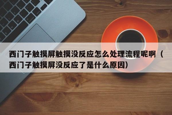 西门子触摸屏触摸没反应怎么处理流程呢啊（西门子触摸屏没反应了是什么原因）-第1张图片-晋江速捷自动化科技有限公司