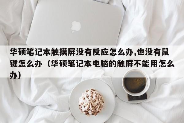 华硕笔记本触摸屏没有反应怎么办,也没有鼠键怎么办（华硕笔记本电脑的触屏不能用怎么办）-第1张图片-晋江速捷自动化科技有限公司