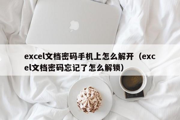 excel文档密码手机上怎么解开（excel文档密码忘记了怎么解锁）-第1张图片-晋江速捷自动化科技有限公司